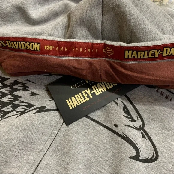 Harley-Davidson Men's 120th Anniversary Zip-Up Hoodie - Heather Gray 96521-23VM - Picture 7 of 11
